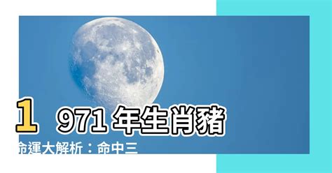 辛亥豬年 1971|【1971生肖】1971生肖豬運勢大解析！十豬九苦是真的嗎？